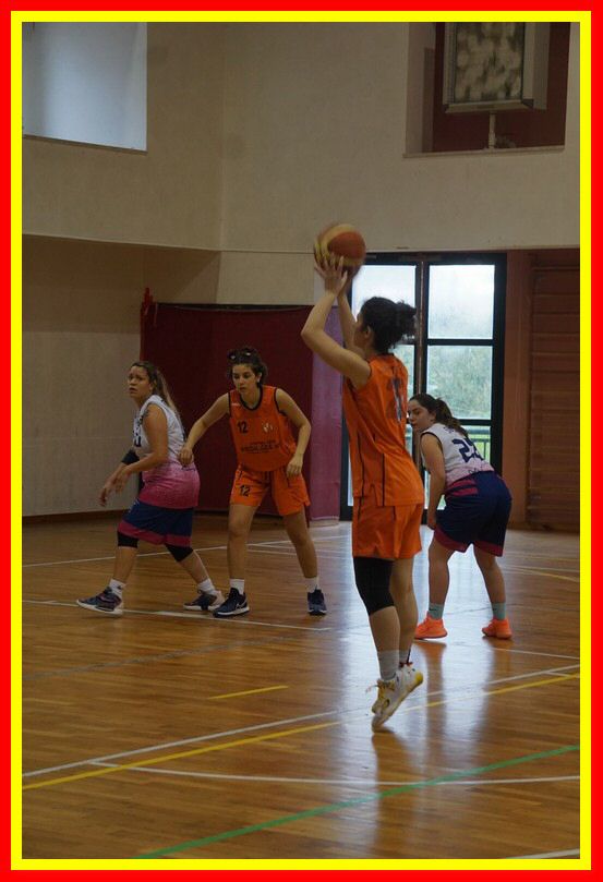 DSC06474_tn.jpg