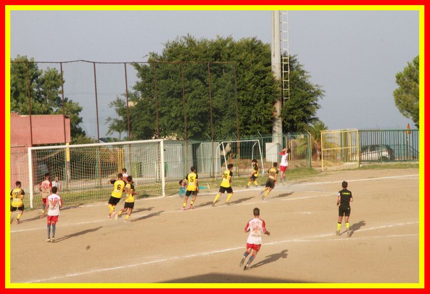 IMG_2050_tn.jpg