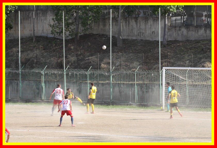 IMG_8616_tn.jpg