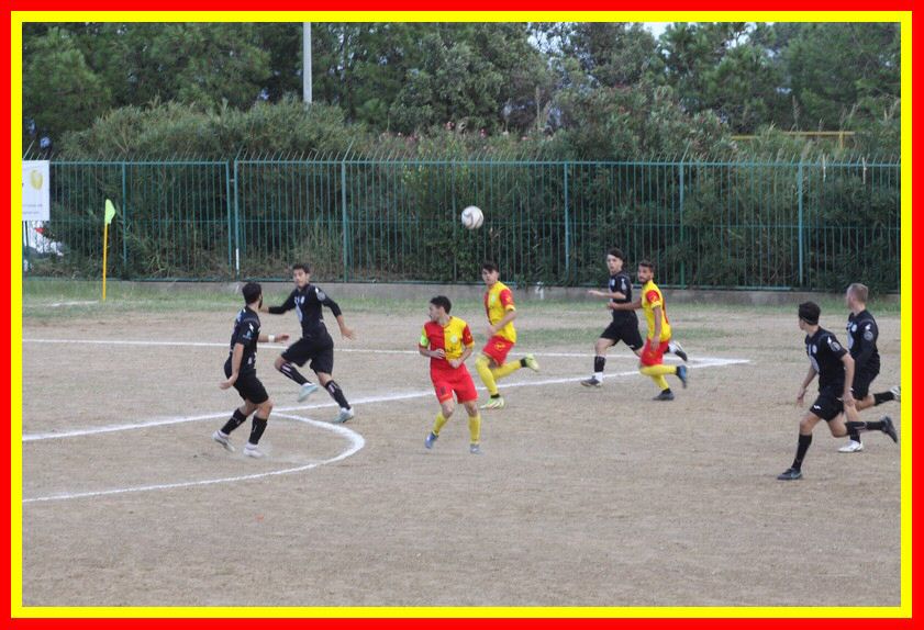 IMG_8941_tn.jpg