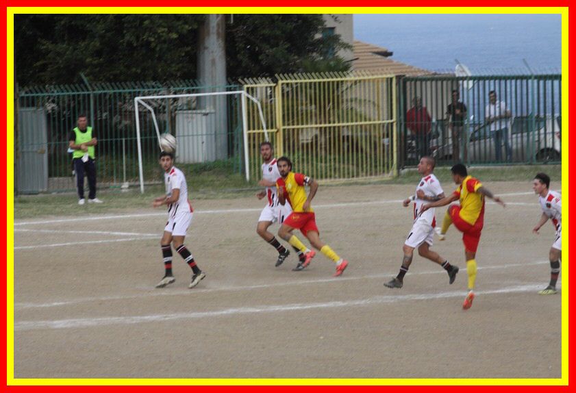 IMG_9207_tn.jpg