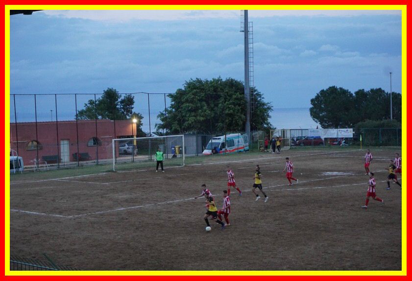 DSC01763_tn.jpg
