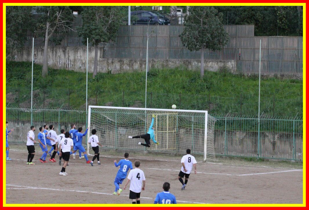 IMG_9900_tn.jpg