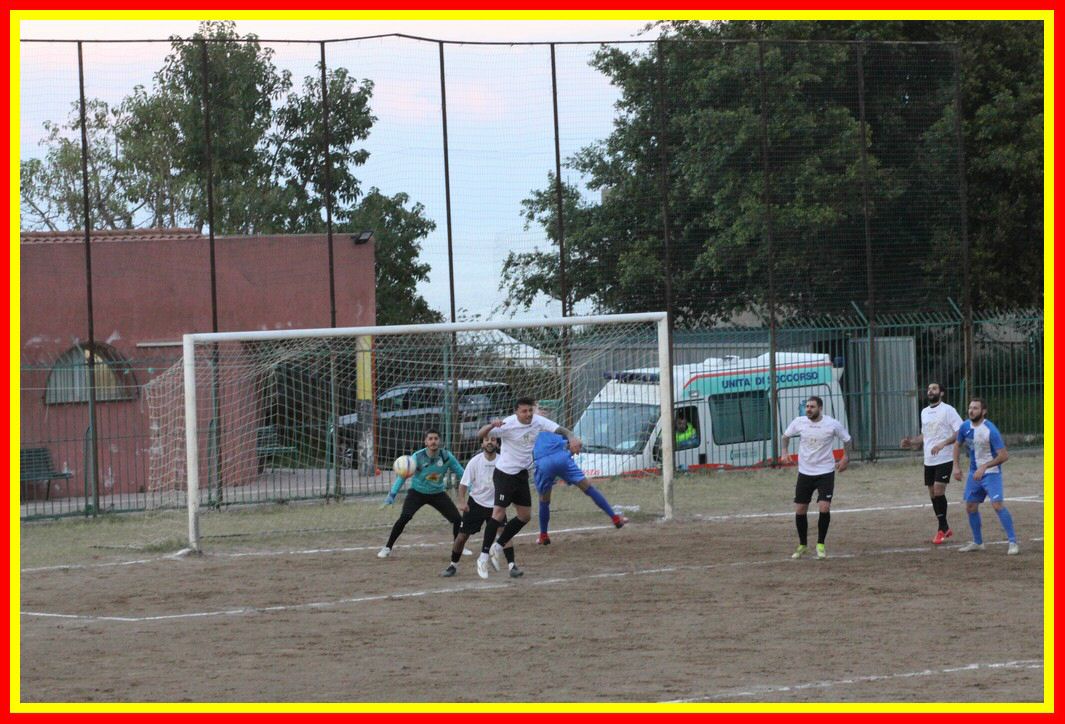 IMG_9950_tn.jpg
