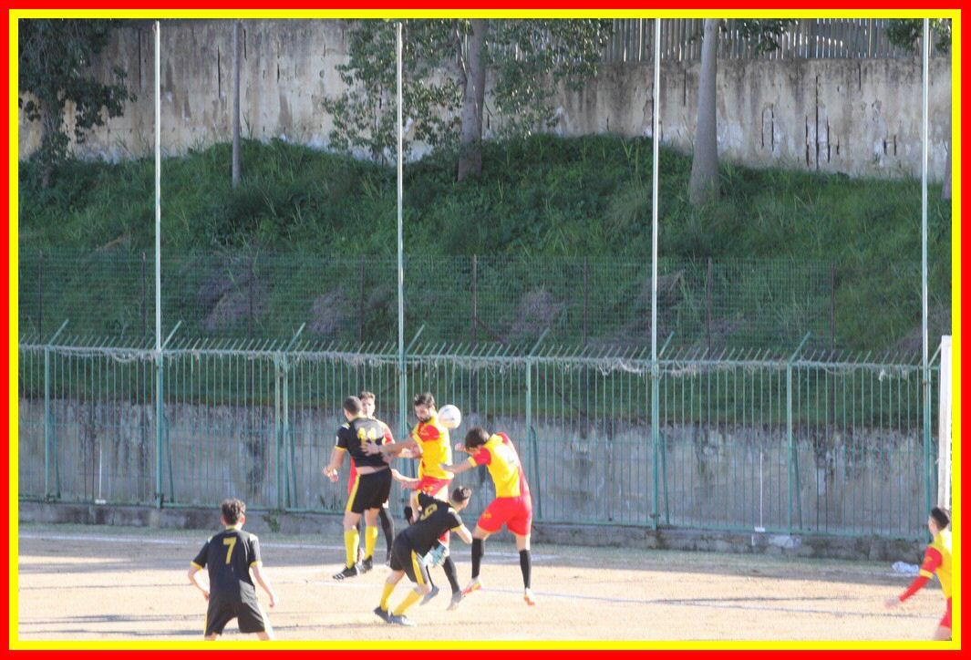 IMG_0174_tn.jpg