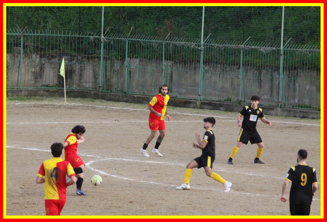 IMG_0342_tn.jpg