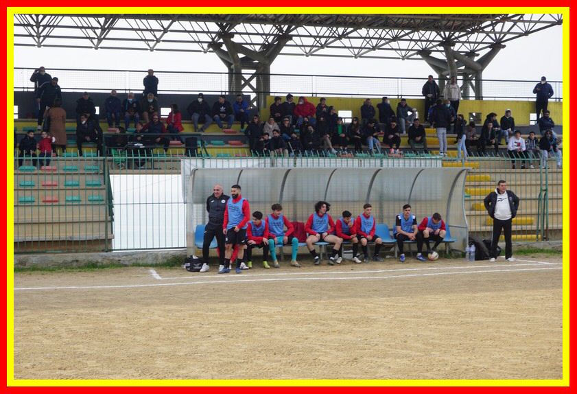 DSC05039_tn.jpg