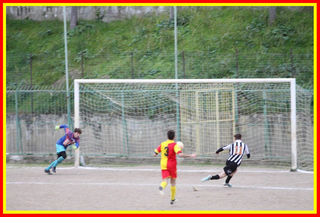 IMG_1006_tn.jpg