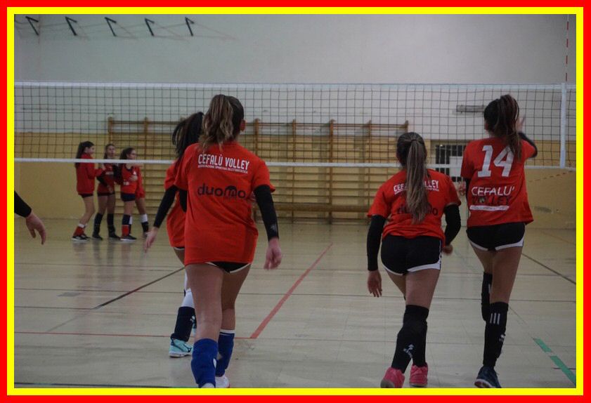 DSC02013_tn.jpg