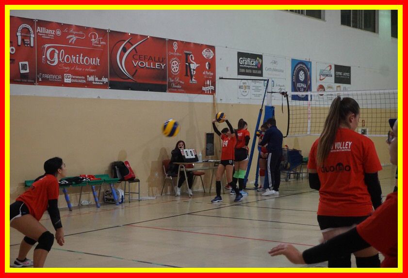 DSC02019_tn.jpg