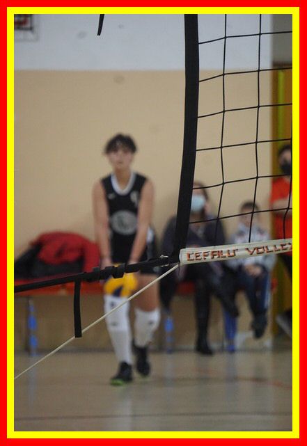 DSC02061_tn.jpg