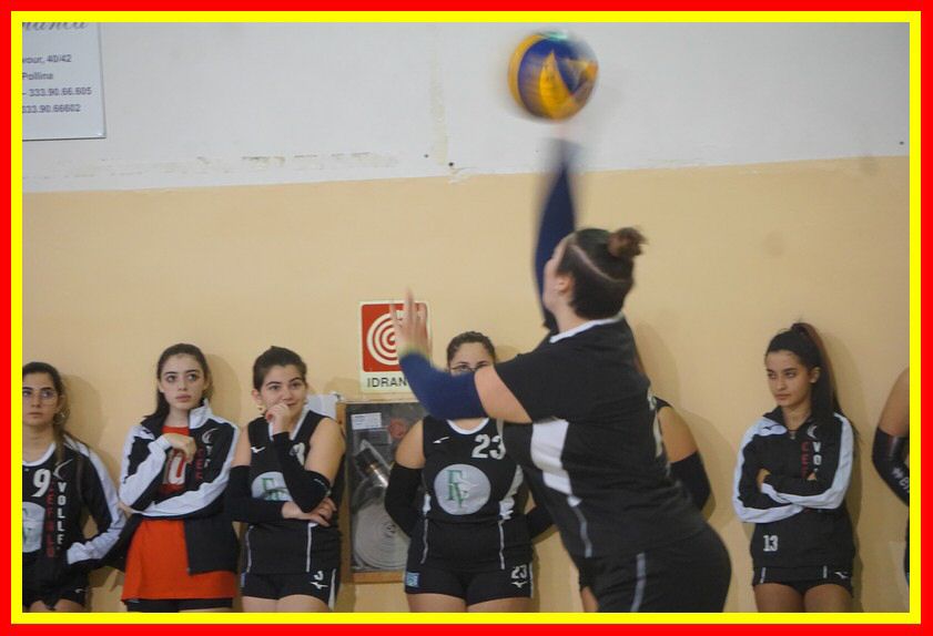 DSC02085_tn.jpg