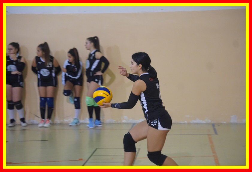 DSC02100_tn.jpg