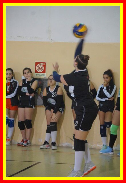 DSC02105_tn.jpg
