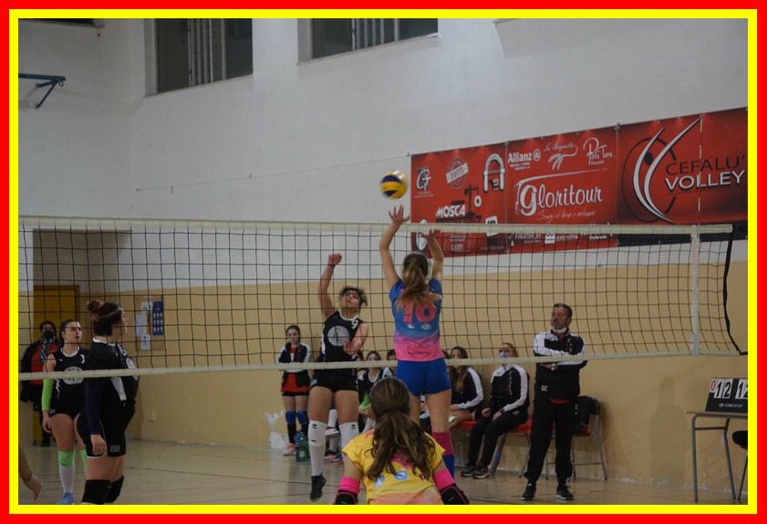 DSC05821_tn.jpg