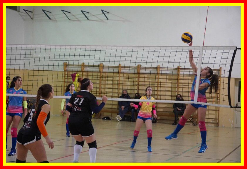 DSC05873_tn.jpg