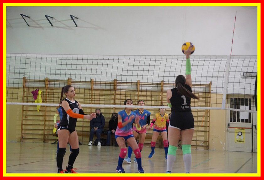 DSC05913_tn.jpg