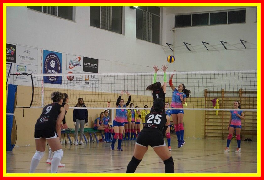 DSC05930_tn.jpg