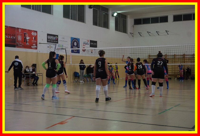DSC05967_tn.jpg