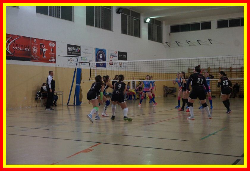 DSC05968_tn.jpg