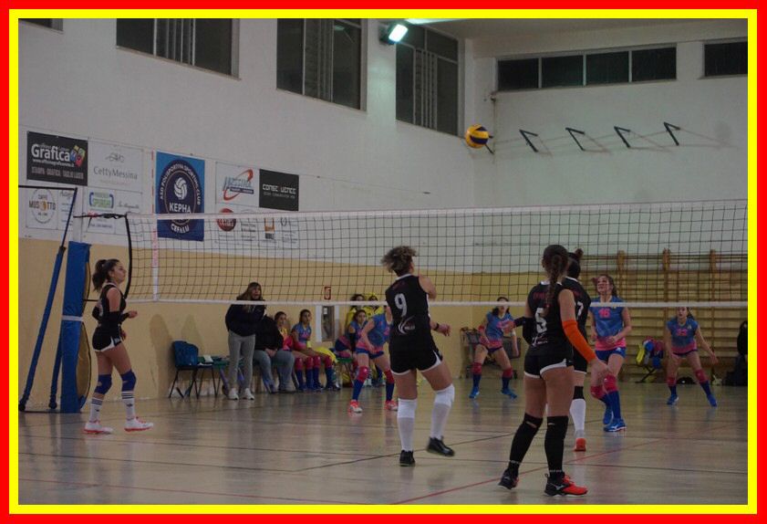 DSC05969_tn.jpg