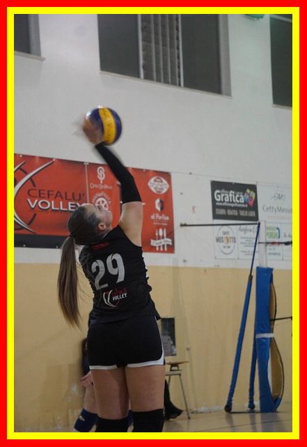 DSC06315_tn.jpg