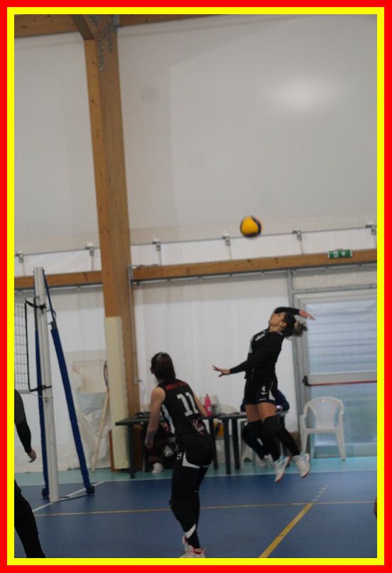 DSC06526_tn.jpg