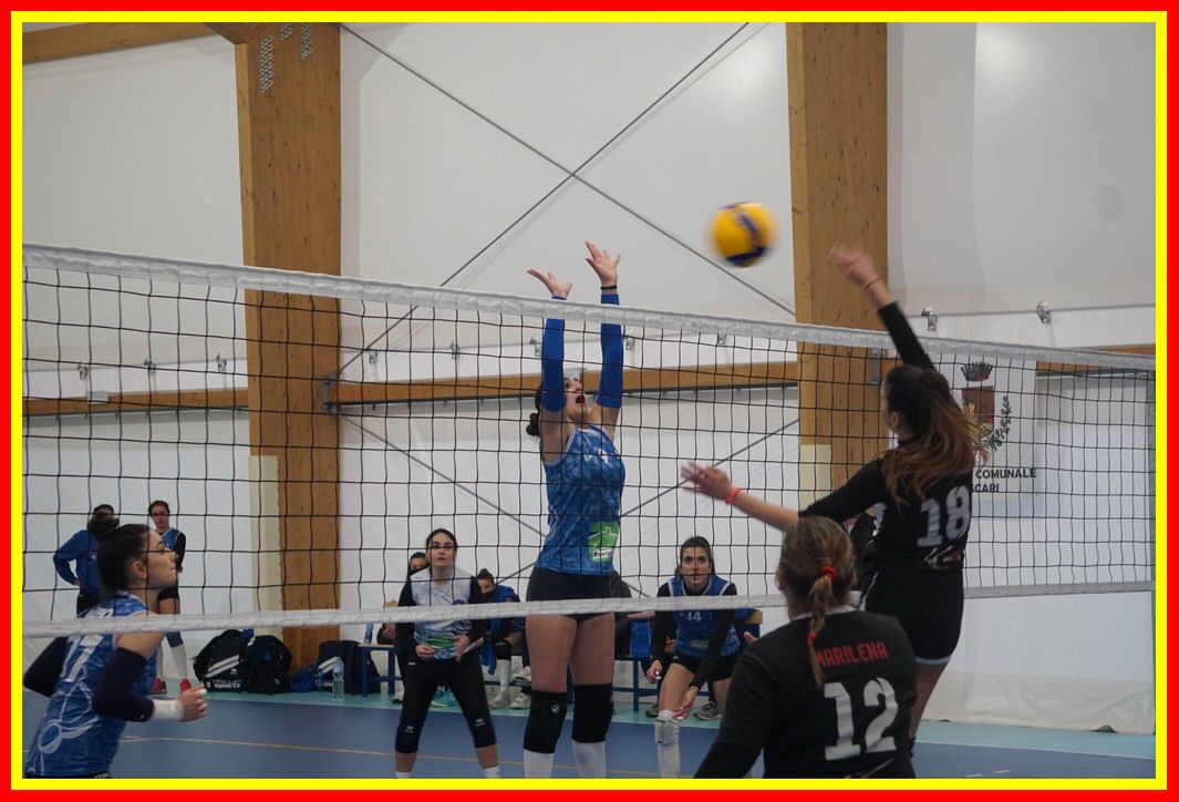 DSC06550_tn.jpg
