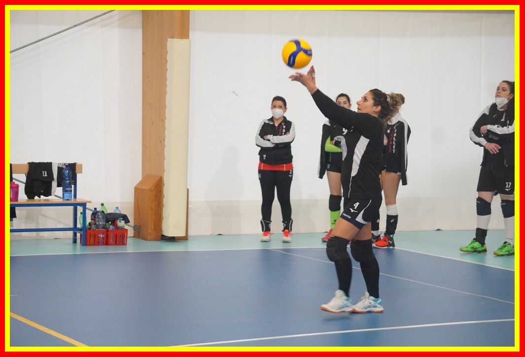 DSC06558_tn.jpg