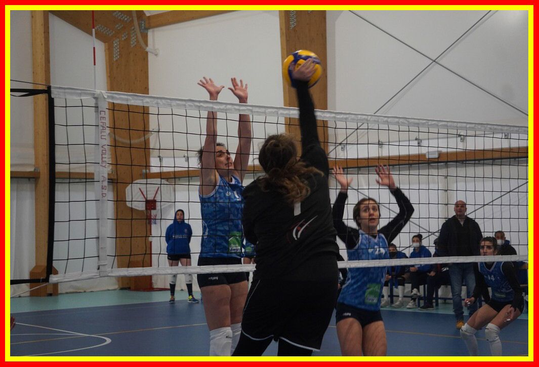 DSC06575_tn.jpg
