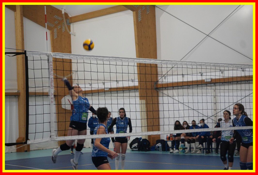 DSC06580_tn.jpg