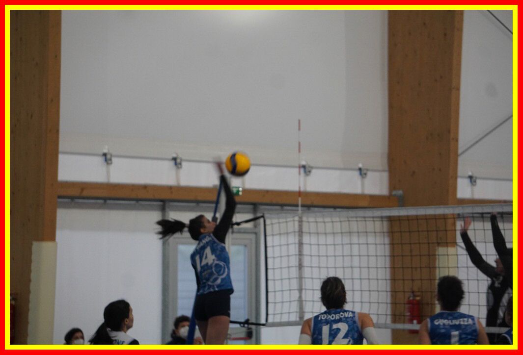DSC06597_tn.jpg