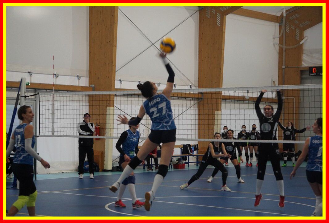 DSC06600_tn.jpg