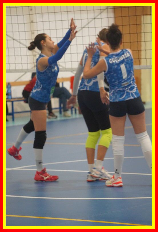 DSC06611_tn.jpg