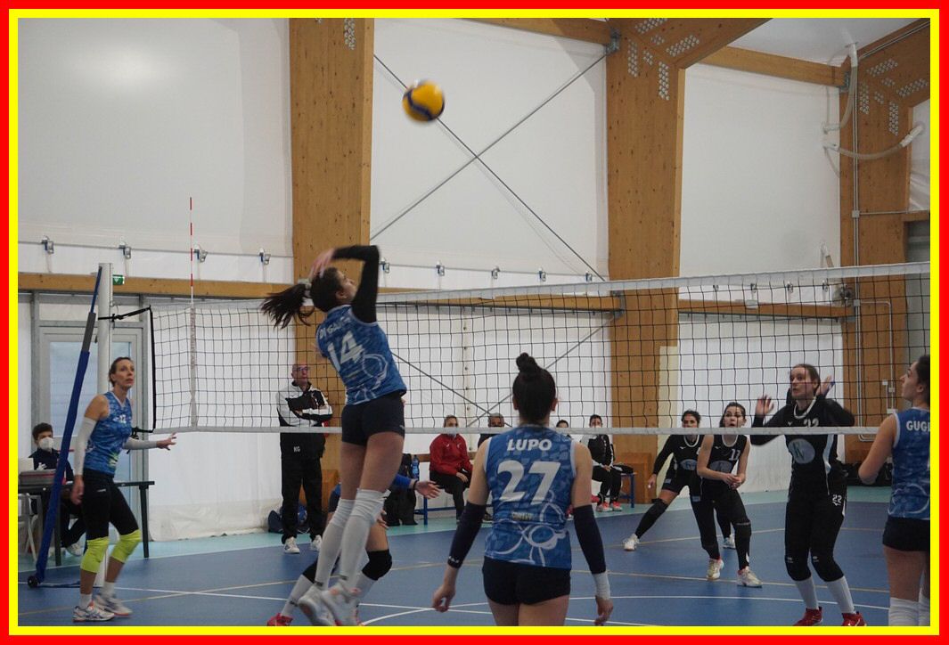 DSC06649_tn.jpg