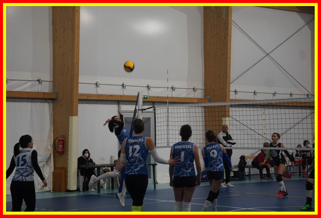 DSC06712_tn.jpg
