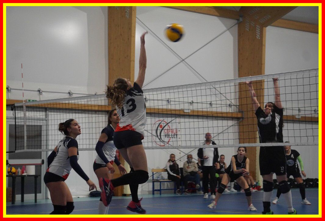 DSC09665_tn.jpg