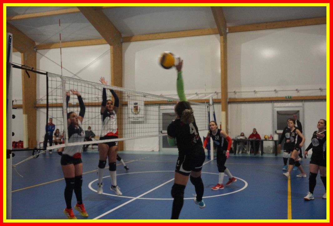 DSC09757_tn.jpg