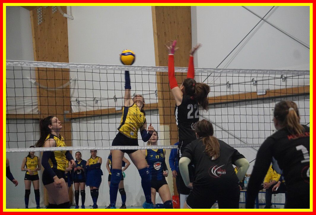 DSC00564_tn.jpg