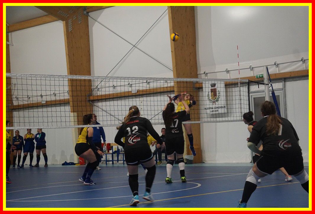 DSC00588_tn.jpg