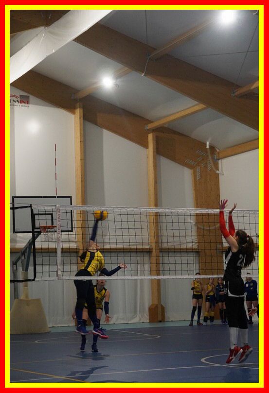DSC00615_tn.jpg