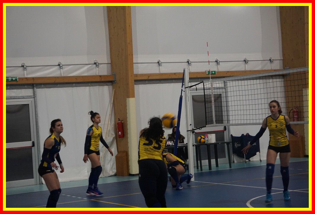 DSC00698_tn.jpg