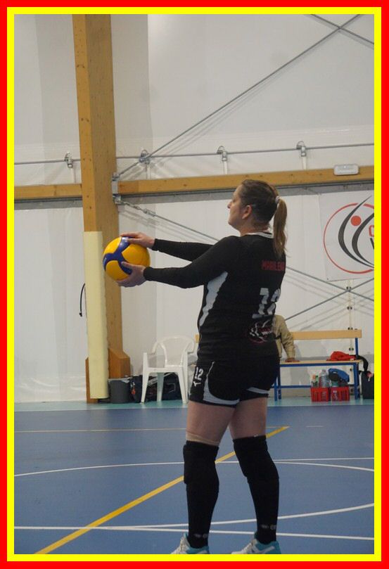 DSC00784_tn.jpg
