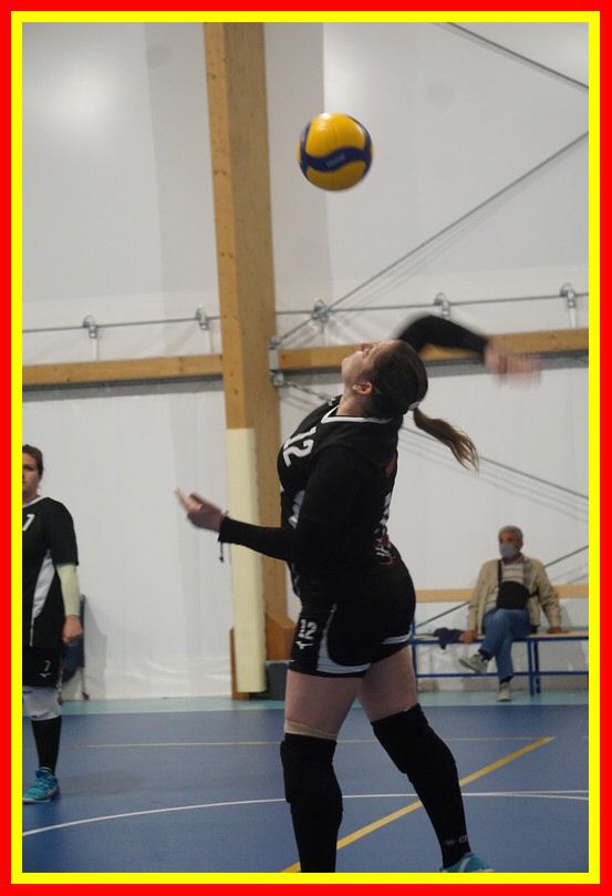 DSC00785_tn.jpg