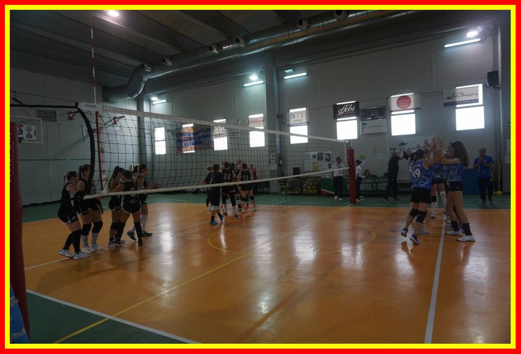 DSC05007_tn.jpg