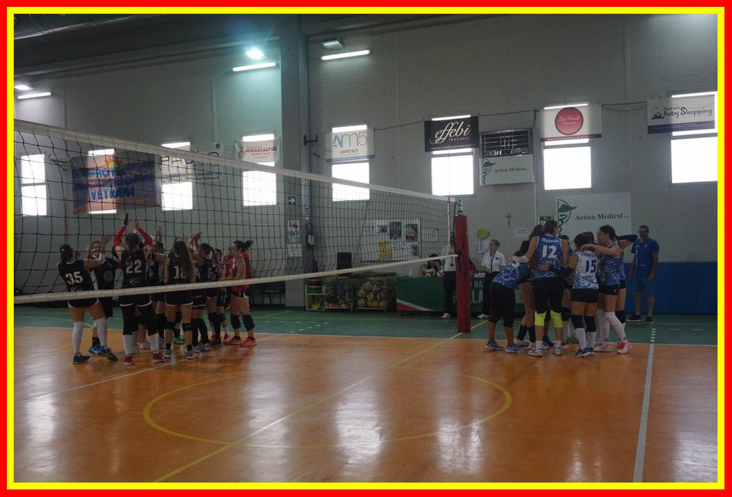 DSC05011_tn.jpg