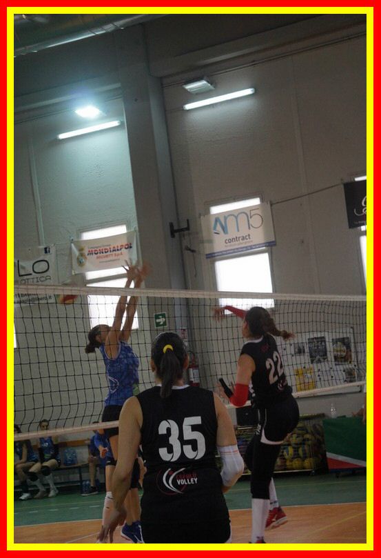 DSC05118_tn.jpg