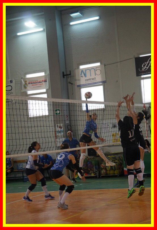 DSC05147_tn.jpg