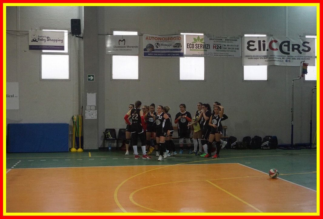 DSC05153_tn.jpg