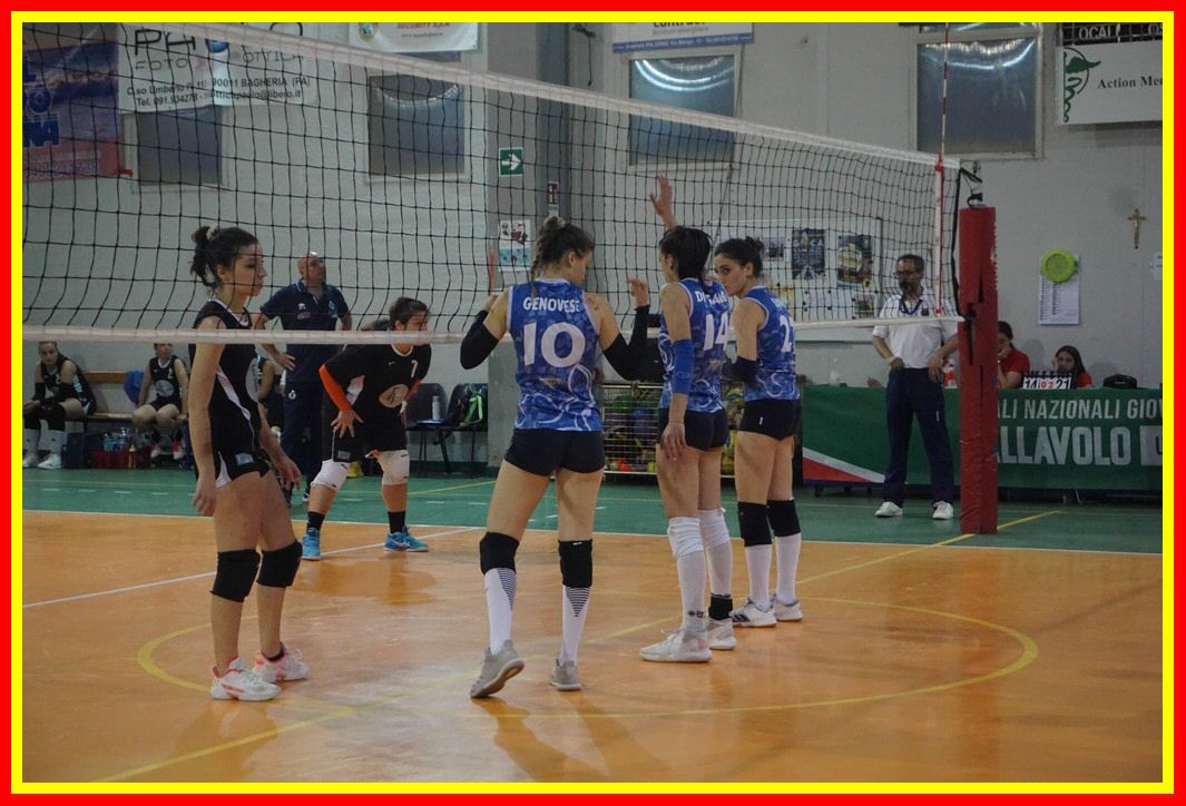 DSC05181_tn.jpg